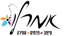 אמרלו לוגו